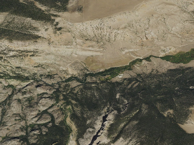 Aerial image of Whiskey Basin WHMA — Trail Meadow Camping Area