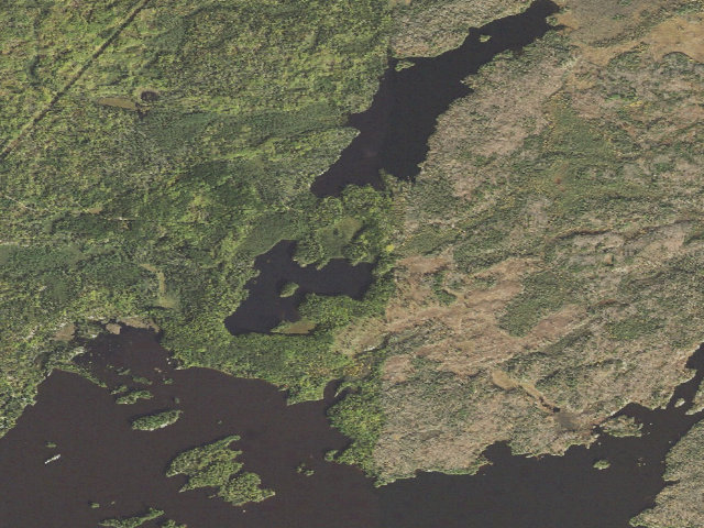 Aerial image of Whisper Lake Site 1