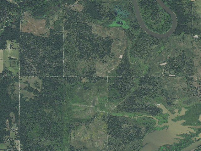 Aerial image of White Camp (Hugo WMA)