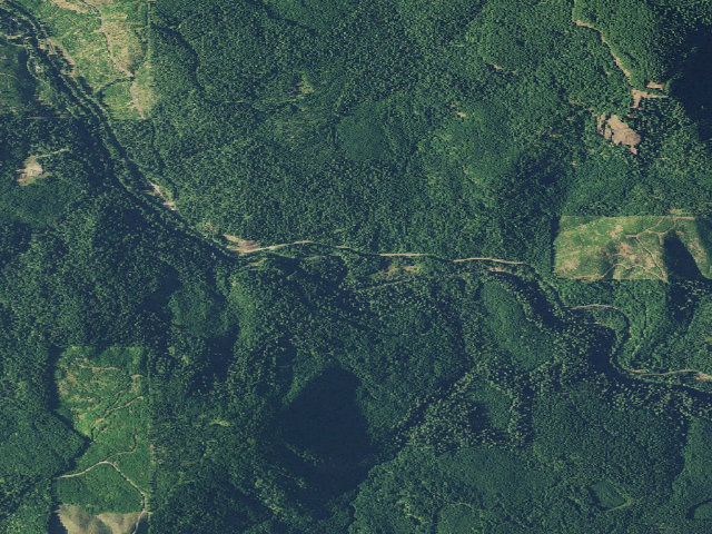 Aerial image of White Creek