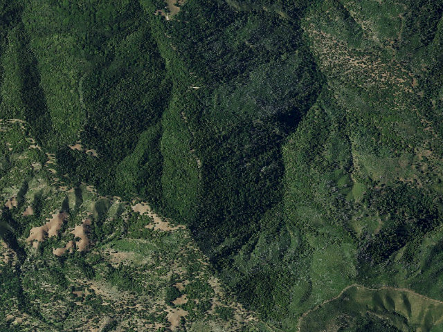 Aerial image of White Oaks