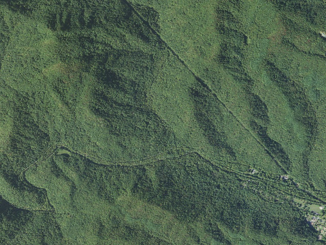 Aerial image of White Pine South Group Camp