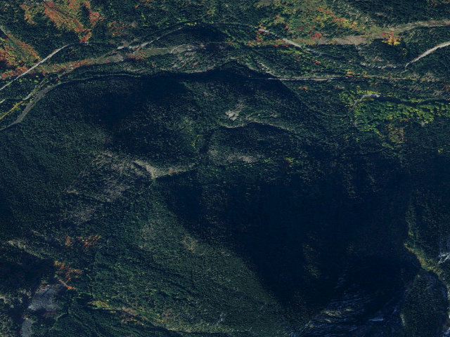 Aerial image of White Pine