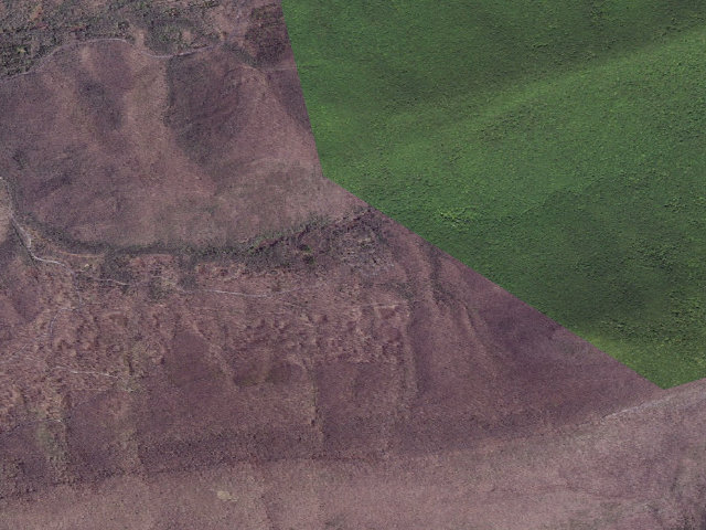 Aerial image of White Rocks