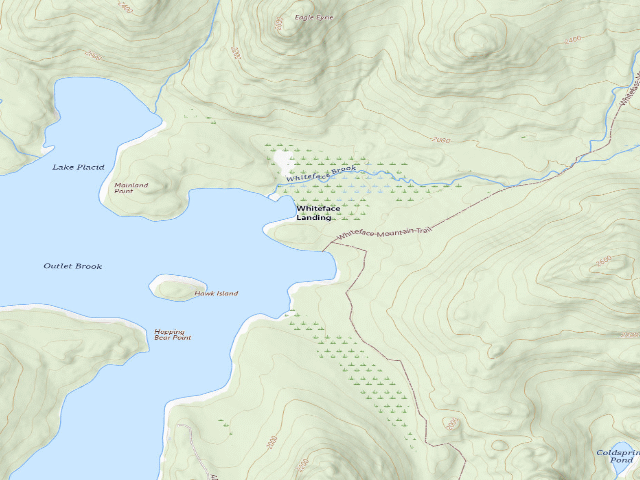 USGS topographic map of Whiteface Landing Site 2 (Saranac Lakes Wild Forest)