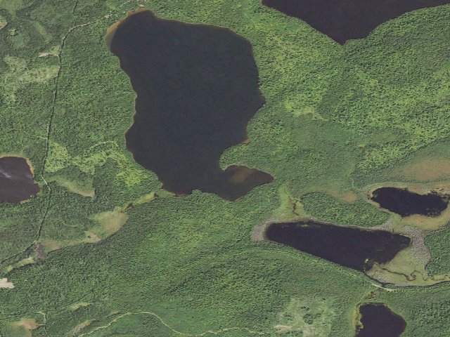 Aerial image of Whitefish Lake Site 1