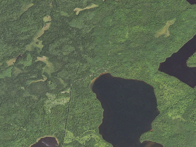 Aerial image of Whitefish Lake Site 3