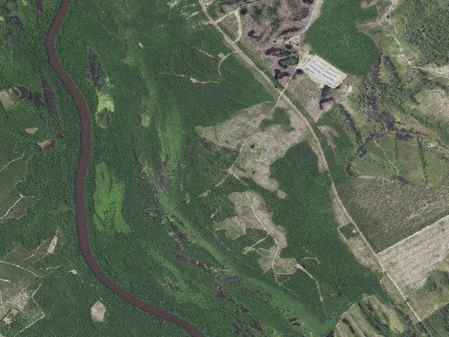 Aerial image of Whitehall Plantation Game Land camping area #1