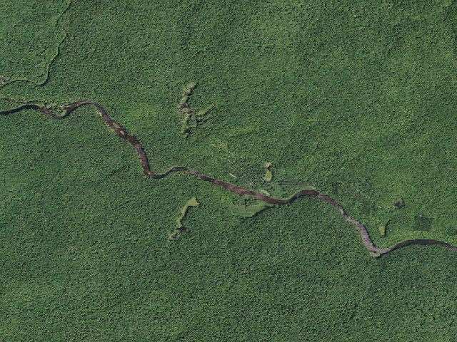 Aerial image of Whitehouse Campsite #5 (Silver Lake Wilderness)