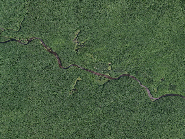 Aerial image of Whitehouse Campsite #6 (Silver Lake Wilderness)