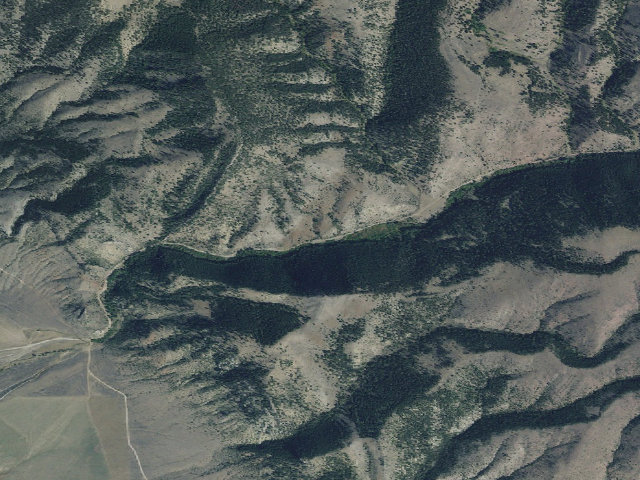 Aerial image of Whites01