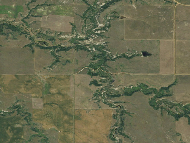 Aerial image of Whitetail