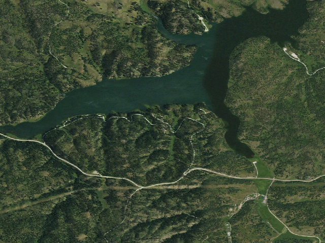 Aerial image of Whitetail