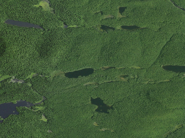 Aerial image of Whortleberry Pond Tent Site (northeast shore) [DEC #13039] (Hudson Gorge Wilderness)