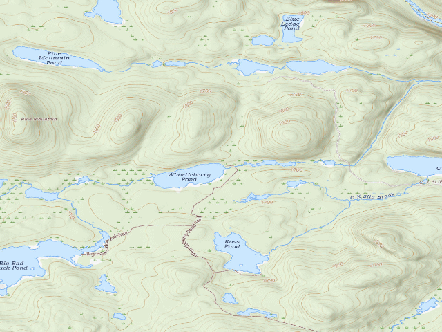 USGS topographic map of Whortleberry Pond Tent Site (northeast shore) [DEC #13039] (Hudson Gorge Wilderness)
