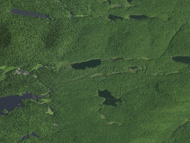 Aerial image of Whortleberry Pond Tent Site (southern side, in a clearing) [DEC #13040] (Hudson Gorge Wilderness)