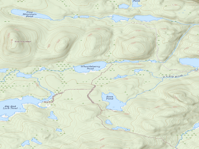 USGS topographic map of Whortleberry Pond Tent Site (southern side, in a clearing) [DEC #13040] (Hudson Gorge Wilderness)