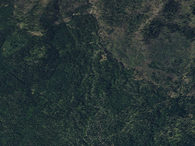 Aerial image of Wicky Shelter
