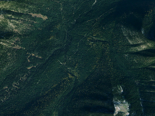 Aerial image of Wigwam River