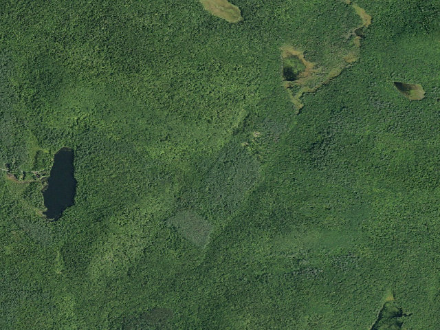 Aerial image of Wilcox Lake Trail Campsite (Wilcox Lake Wild Forest)