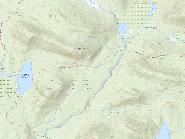 USGS topographic map of Wilcox Lake Trail Campsite (Wilcox Lake Wild Forest)