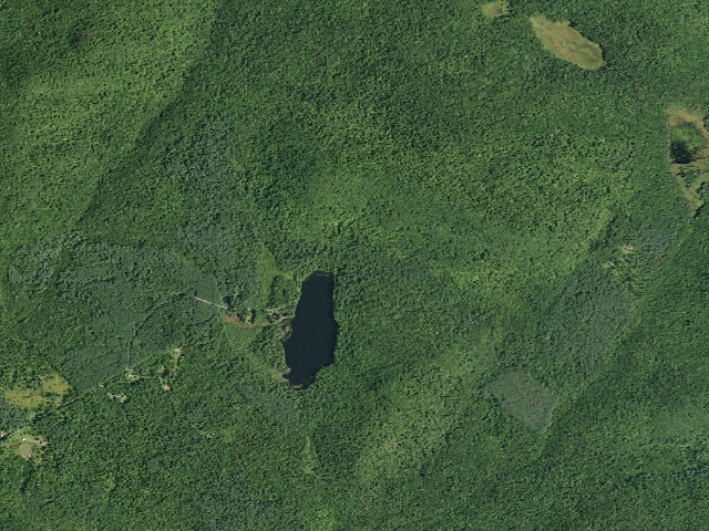 Aerial image of Wilcox Lake Trail Campsite (Wilcox Lake Wild Forest)