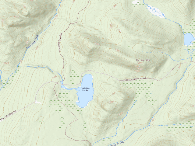 USGS topographic map of Wilcox Lake Trail Campsite (Wilcox Lake Wild Forest)