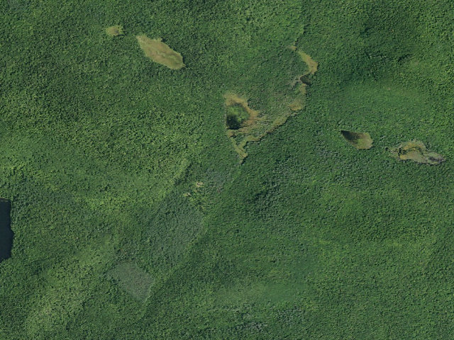 Aerial image of Wilcox Lake Trail Campsite (Wilcox Lake Wild Forest)