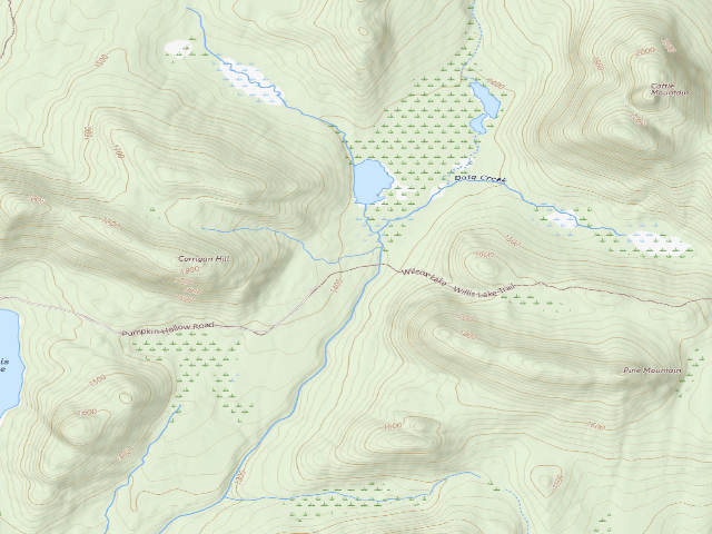 USGS topographic map of Wilcox Lake Trail Campsite (Wilcox Lake Wild Forest)