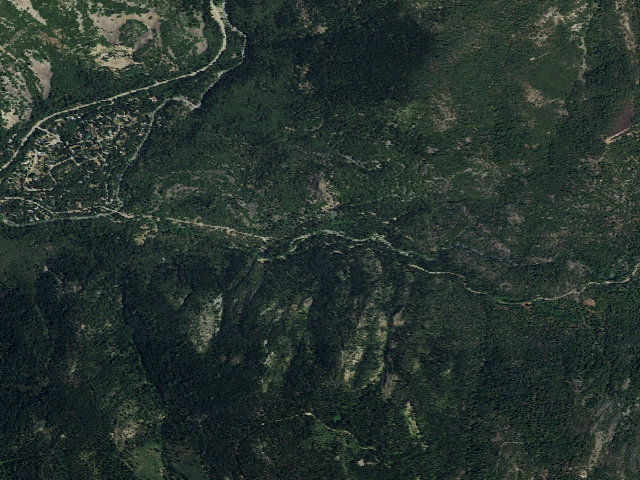 Aerial image of Wild Plum