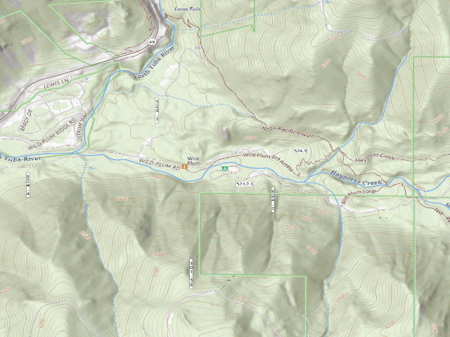 USGS topographic map of Wild Plum