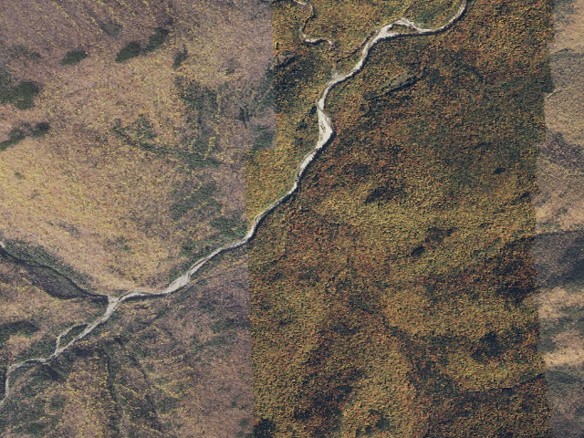 Aerial image of Wild River