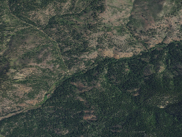 Aerial image of Wildcat