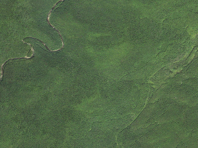 Aerial image of Wildell Shelter