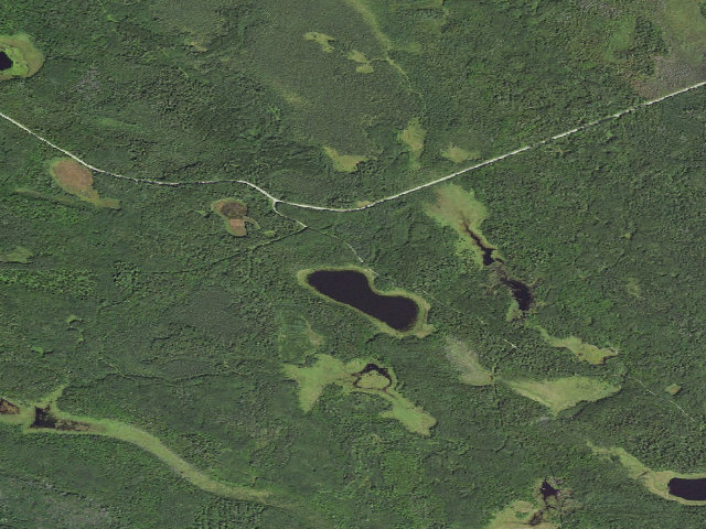 Aerial image of Wilderness Lake B31