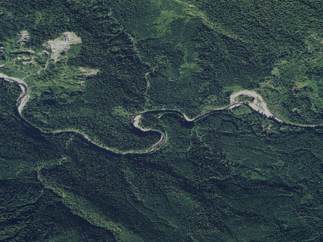 Aerial image of Wiley Creek