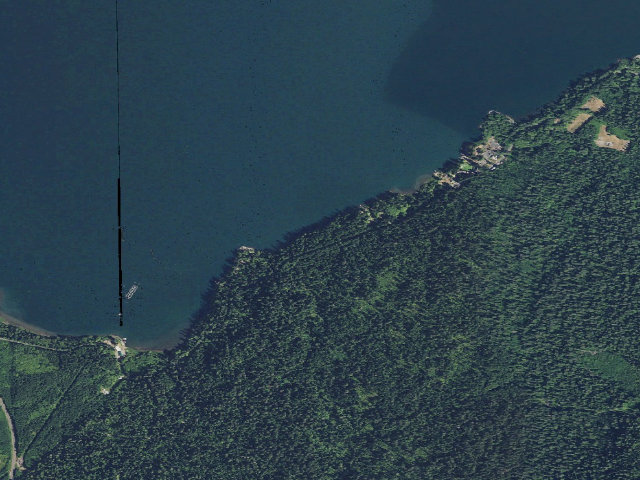 Aerial image of Willaby