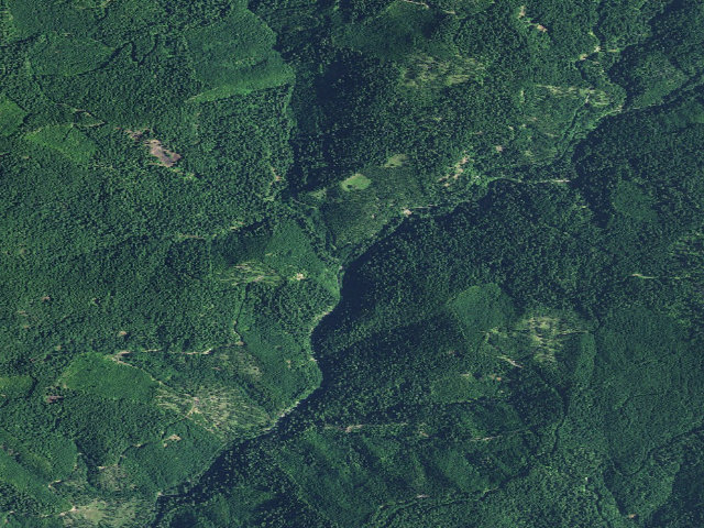 Aerial image of Willamette National Forest