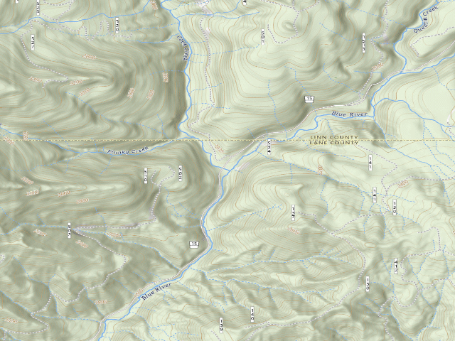 USGS topographic map of Willamette National Forest