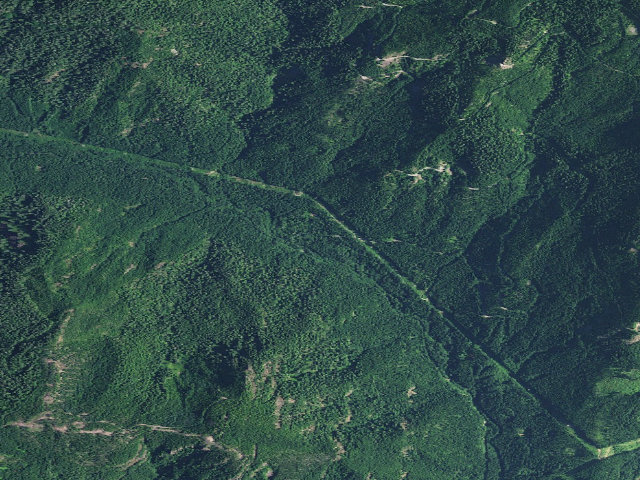 Aerial image of Willamette National Forest