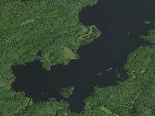Aerial image of William C. Whitney Campsite #11 (William C. Whitney Wilderness)