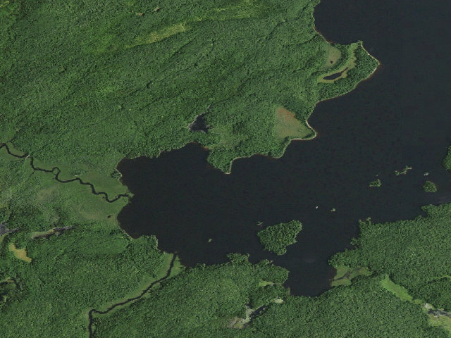 Aerial image of William C. Whitney Campsite #12 (William C. Whitney Wilderness)
