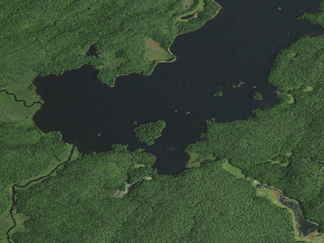 Aerial image of William C. Whitney Campsite #15 (William C. Whitney Wilderness)