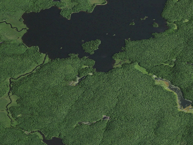 Aerial image of William C. Whitney Campsite #16 (William C. Whitney Wilderness)