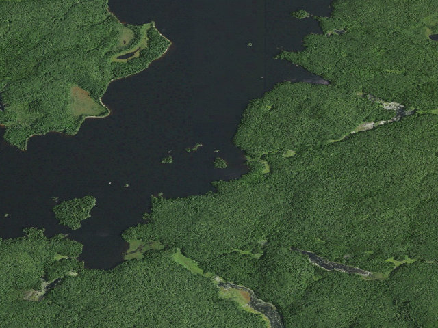 Aerial image of William C. Whitney Campsite #19 (William C. Whitney Wilderness)
