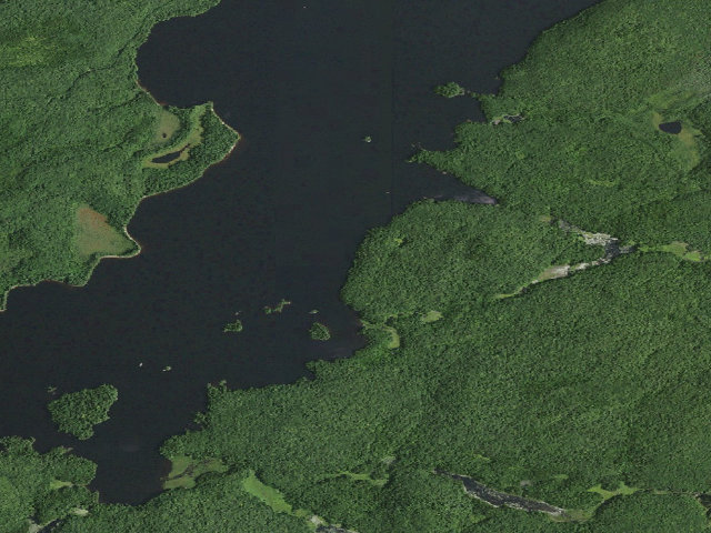 Aerial image of William C. Whitney Campsite #20 (William C. Whitney Wilderness)