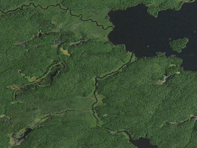 Aerial image of William C. Whitney Campsite #23 (William C. Whitney Wilderness)