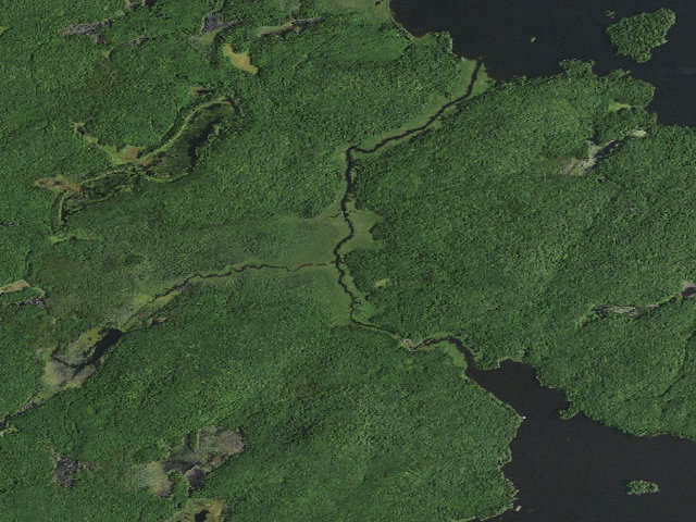 Aerial image of William C. Whitney Campsite #24 (William C. Whitney Wilderness)