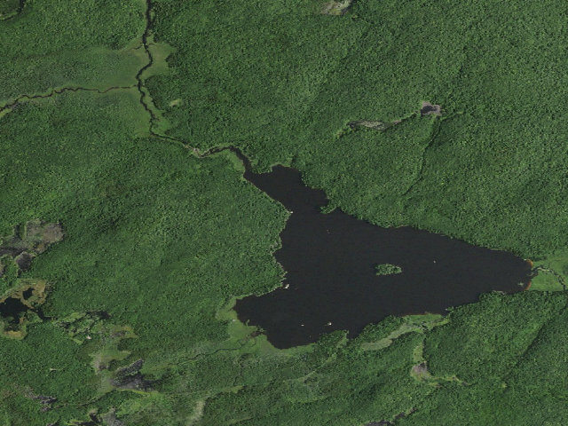 Aerial image of William C. Whitney Campsite #25 (William C. Whitney Wilderness)