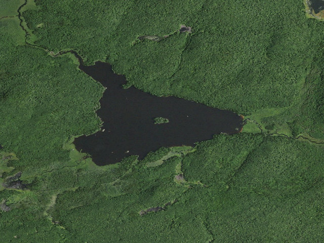 Aerial image of William C. Whitney Campsite #28 (William C. Whitney Wilderness)